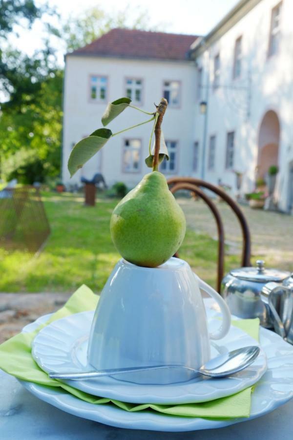 Event- Kultur & B&B Kunst Schloss Neuenhagen Uebernachten Im Denkmal Bad Freienwalde Luaran gambar